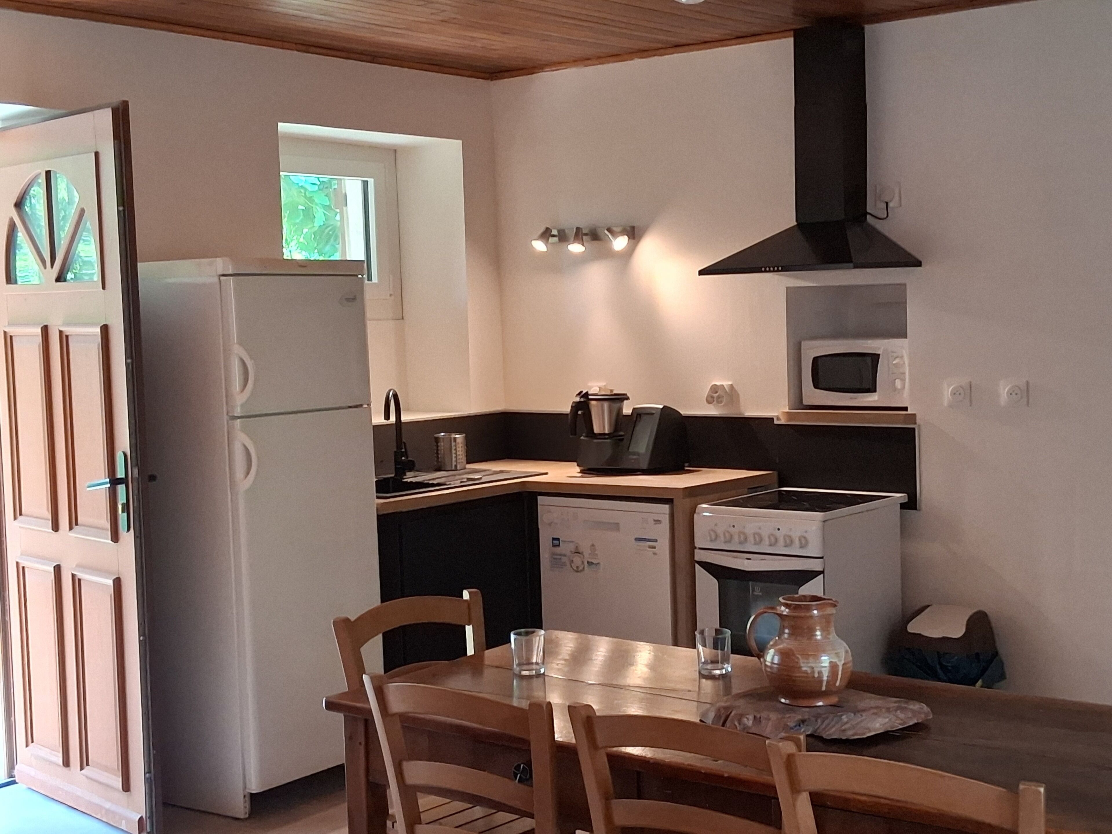 Une cuisine compacte équipée d’un réfrigérateur, d’un four à micro-ondes, d’une cuisinière et d’un évier. On y trouve une table à manger avec des chaises et un vase posé sur la table.
