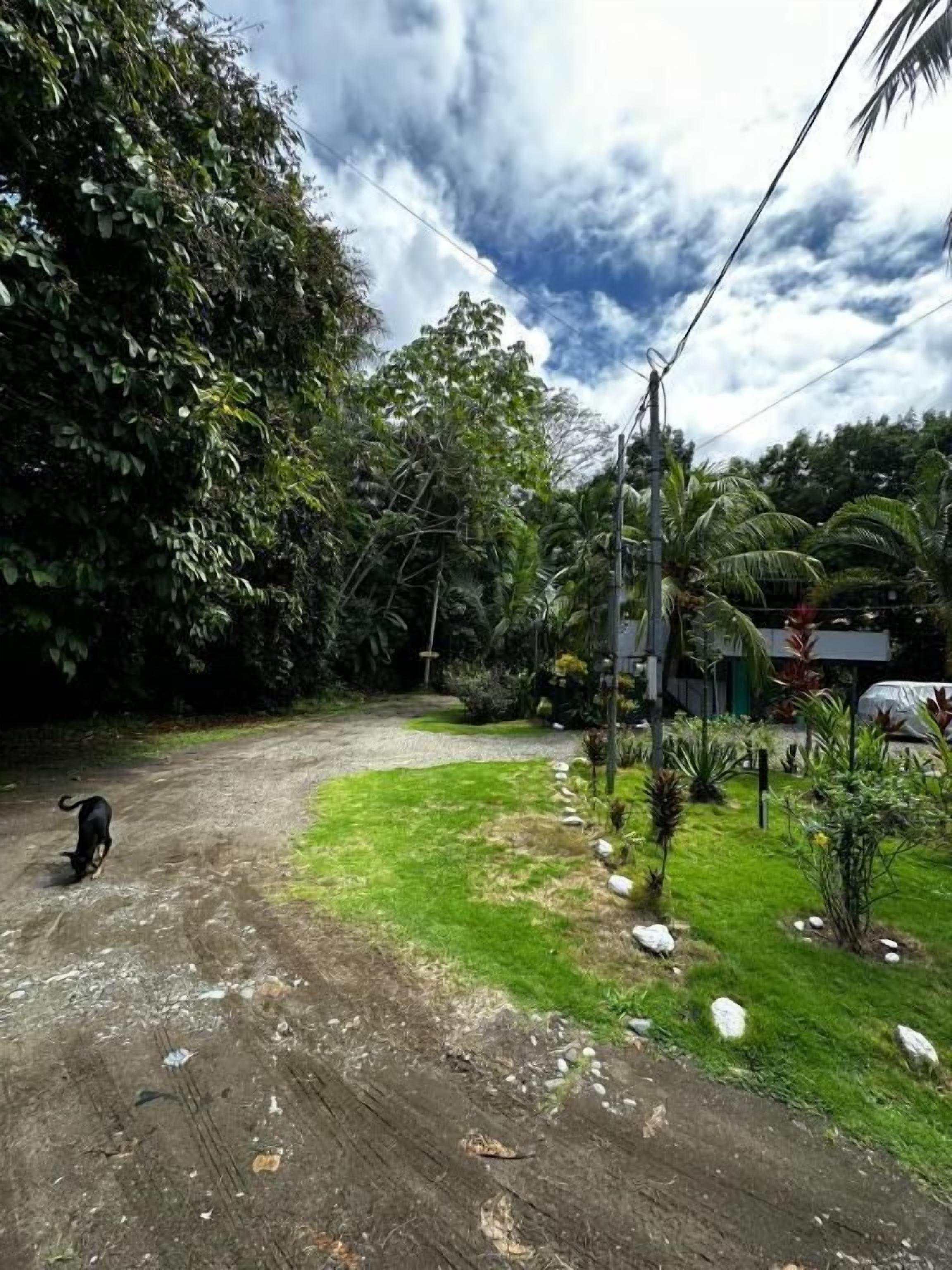 Área da propriedade