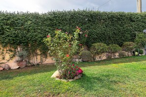 A garden with a variety of plants and flowers, a hedge, and a stone wall.