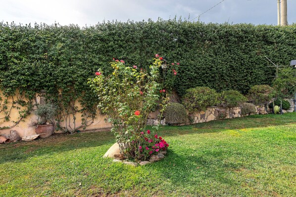 A garden with a variety of plants and flowers, a hedge, and a stone wall.