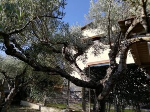 Property grounds - Room 'Terrace' with Shared Terrace, Wi-Fi and Air Conditioning (Fonte Nuova)