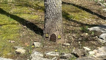 Un albero con una piccola struttura scura, simile a una porta, alla base, circondata da rocce e erba rada.