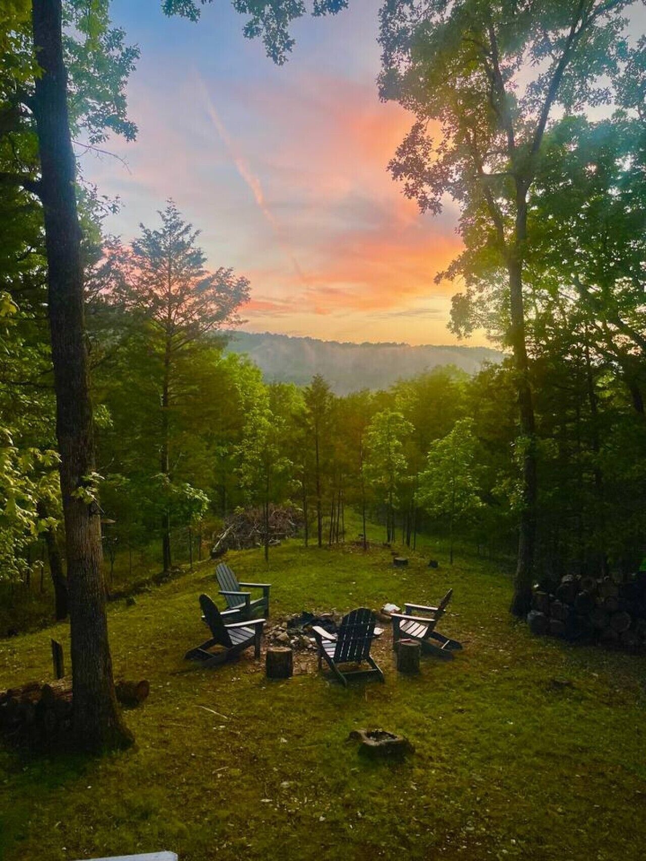 A forested area with a clear view of the sky, a fire pit, and several Adirondack chairs.
