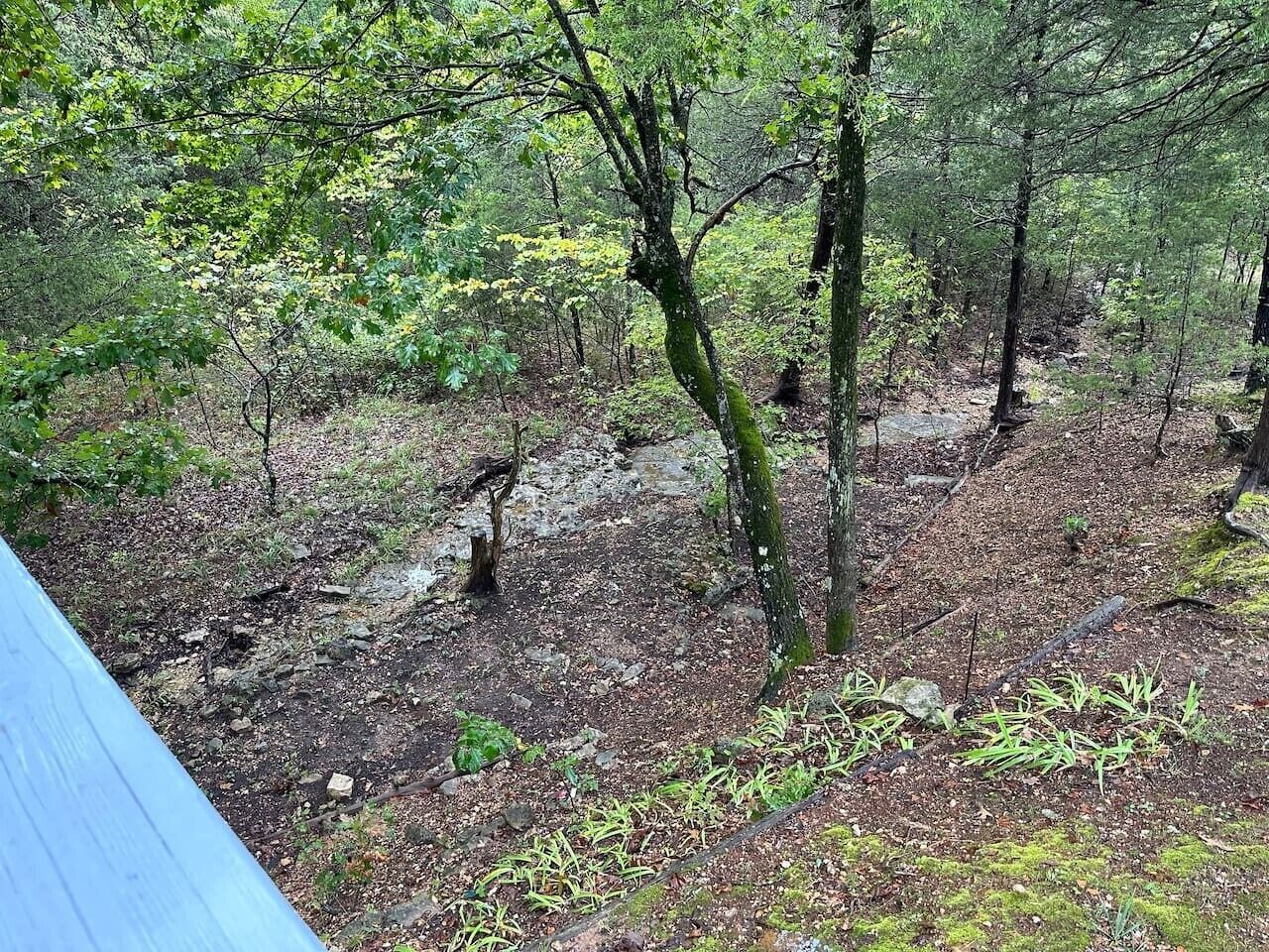 Uma área arborizada com uma trilha de terra e uma estrutura azul visível parcialmente à esquerda.