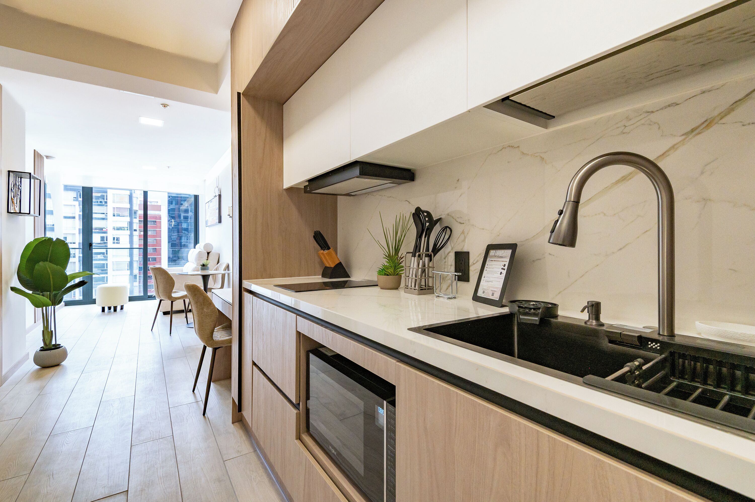 Deluxe Suite, Pets Allowed, City View | Private kitchen
