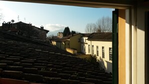 Blick auf eine Stadt mit terrakottafarbenen Dächern, traditionellen Gebäuden und einem Berg im Hintergrund.