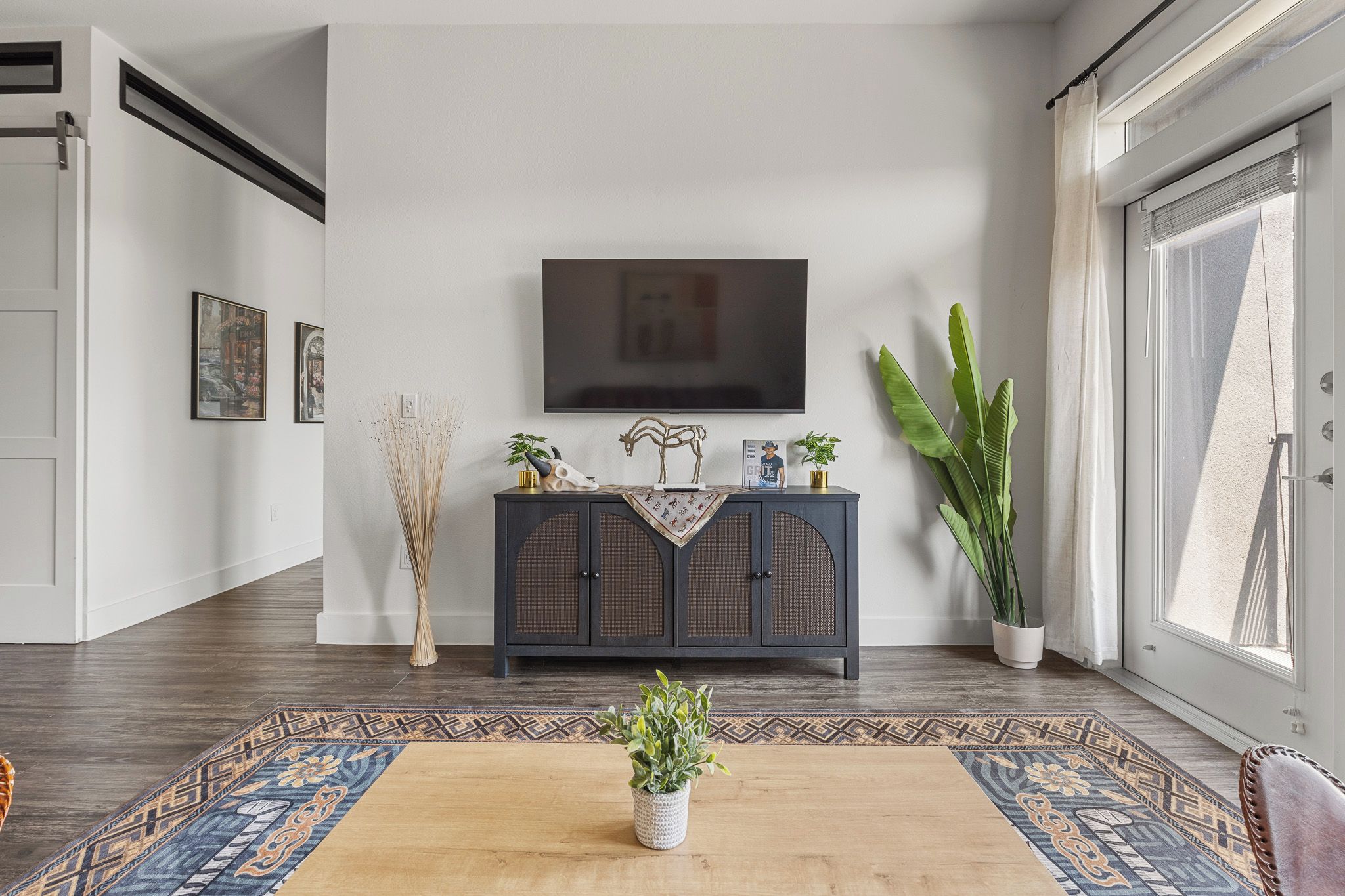 Un salon moderne avec un meuble en bois foncé, un téléviseur à écran plat fixé au mur, une grande plante en pot et un tapis à motifs.