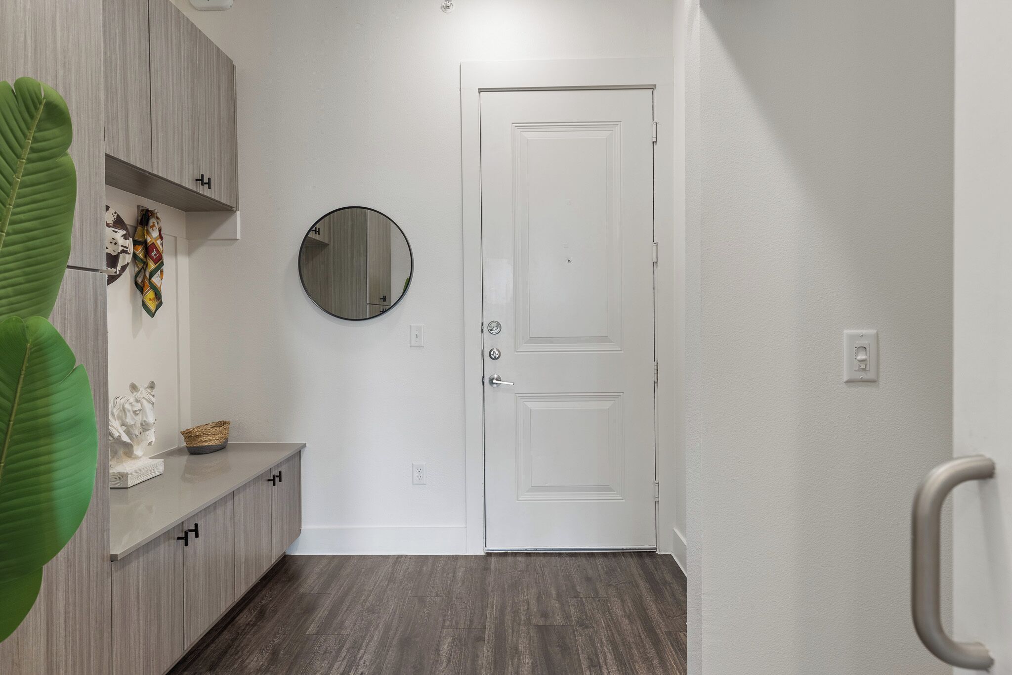 A hallway with a white door, a round mirror, and a plant.