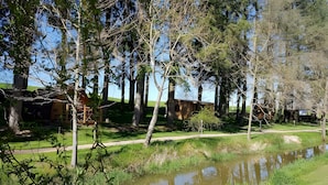 A rural setting with a pond, trees, and a building with a circular window.