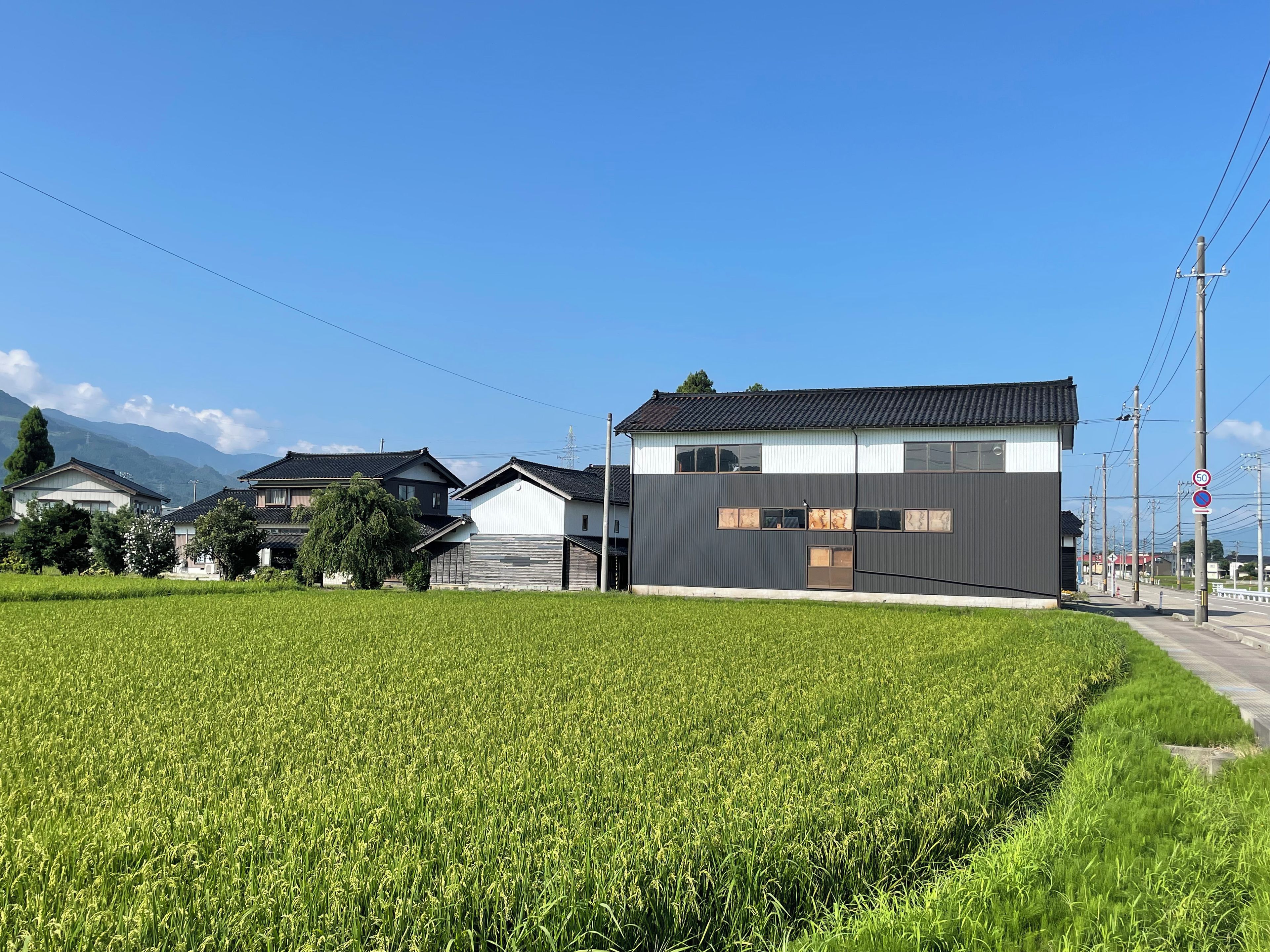 A residential area with houses, a field, and a modern building with large windows.