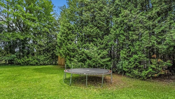 Un trampolino in un'area erbosa circondata da alberi fitti.