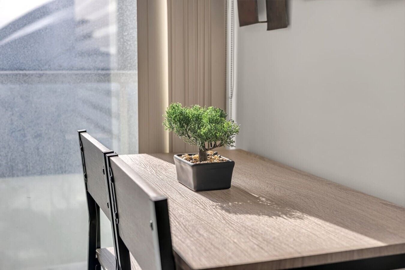 A small potted plant on a wooden table near a window with a view outside.