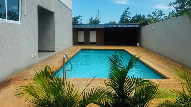 A rectangular pool with a metal ladder, surrounded by a concrete deck and palm plants. - Hope Oasis (Kingston)