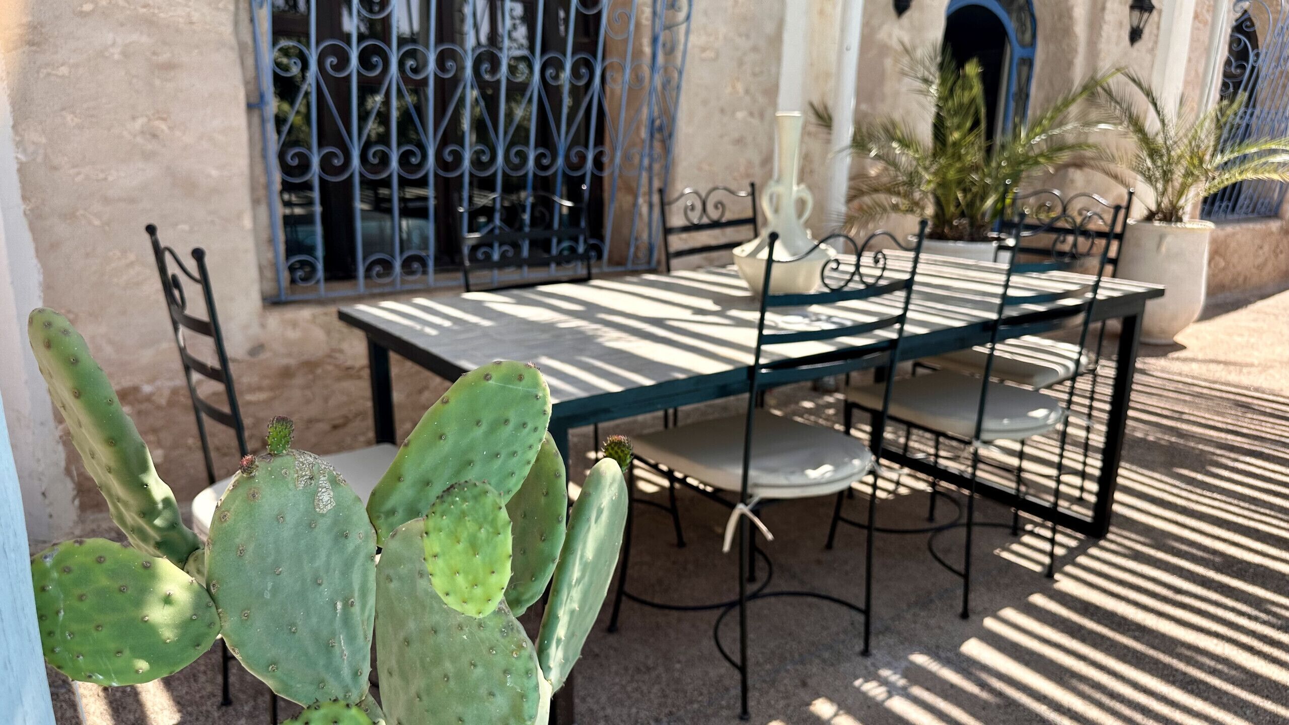 A cactus plant in the foreground, a metal table with chairs, and a window with decorative iron bars.