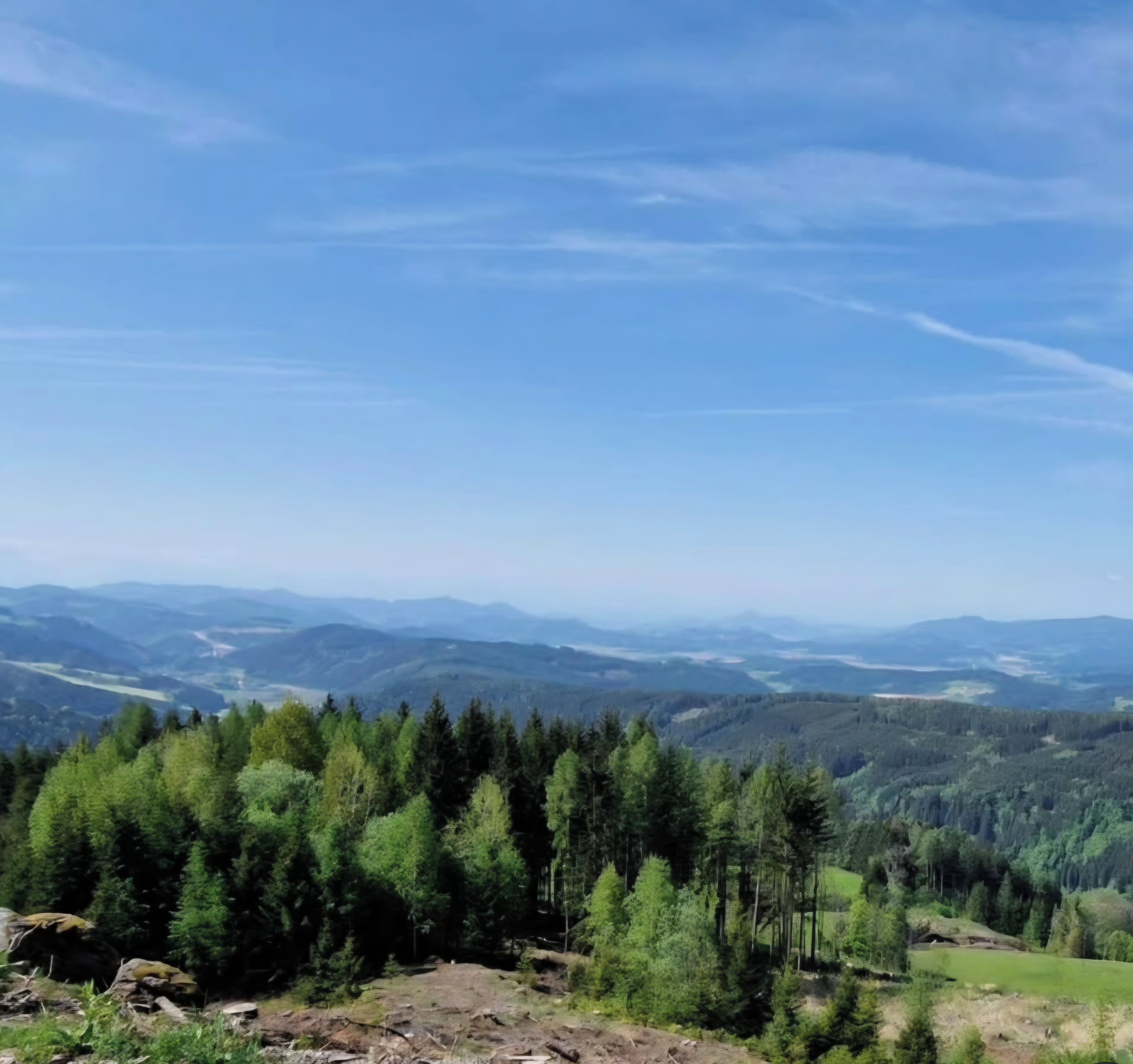 A panoramic view of a mountainous landscape with dense forests and distant hills.