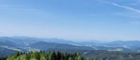 A panoramic view of a mountainous landscape with dense forests and distant hills.