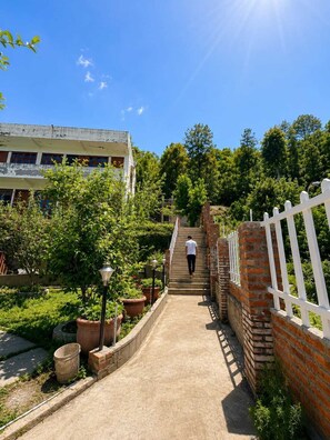 A pathway leading up a set of stairs surrounded by greenery and a white fence.