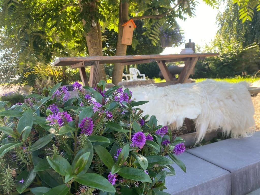 A garden with a wooden bench, a birdhouse, and a white furry object.