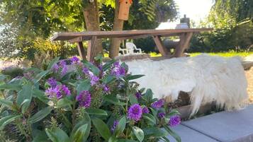A garden with a wooden bench, a birdhouse, and a white furry object.