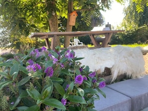 A garden with a wooden bench, a birdhouse, and a white furry object.