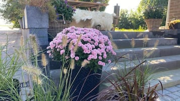 Un jardin où l’on trouve une grande variété de plantes, ainsi qu’un nichoir.