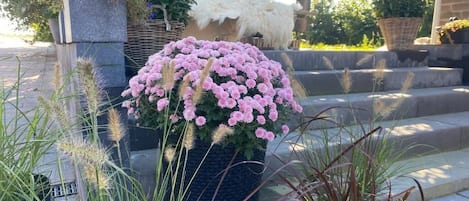 Un jardin où l’on trouve une grande variété de plantes, ainsi qu’un nichoir.
