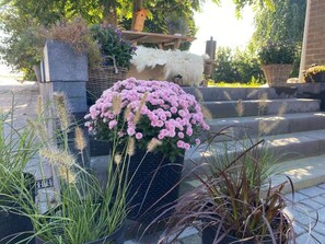 Ein Garten mit verschiedenen Pflanzen und einem Vogelhäuschen.