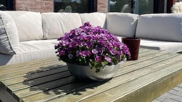 Un espace extérieur aménagé avec une table en bois et une plante en pot.