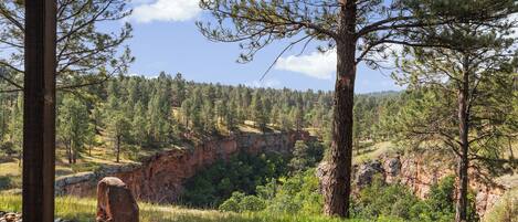A natural landscape with a rocky cliff, trees, and a bench.