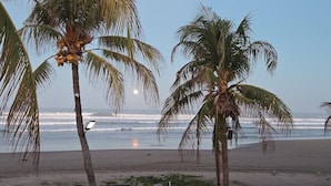 A beach with palm trees and the ocean.