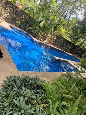 Ein Pool mit Steinmauer und tropischer Bepflanzung.