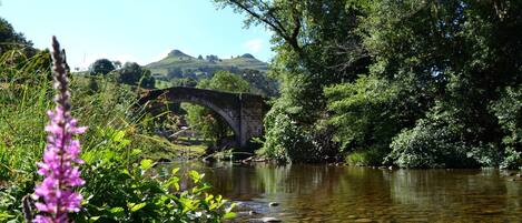 A stone bridge over a river with surrounding greenery and hills in the background.