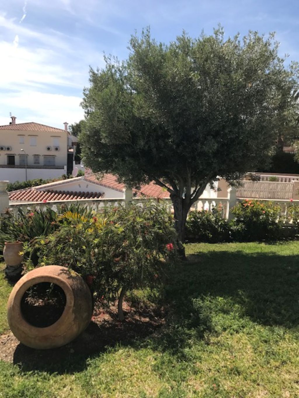 A residential area with a tree, a white fence, and a building with a tiled roof.