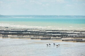 Ein Strand mit vielen aufrechten Pfählen, eine Reitgruppe und eine entfernte Küstenlinie.