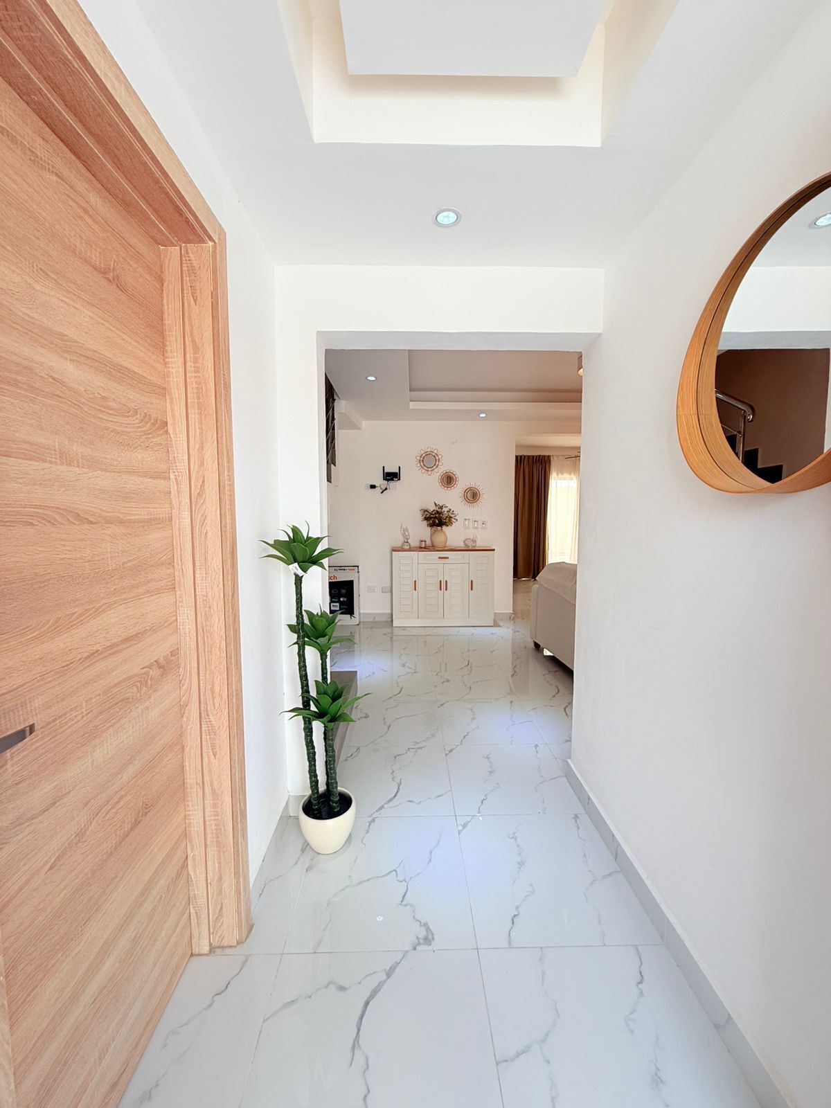 A hallway with a wooden door, a potted plant, a white cabinet, and a mirror on the wall.