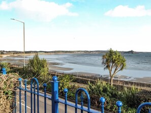 A coastal road with a blue metal fence, a palm tree, and a view of the sea. - Tide Watch (Penzance)