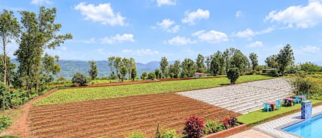 A landscape with terraced fields, a swimming pool, and a clear sky.