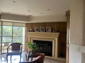 A room with a fireplace, a dining table with chairs, a potted plant, and a view through a large window.