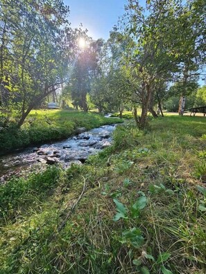 Eine natürliche Landschaft mit einem Bach, Bäumen und einem Picknicktisch.