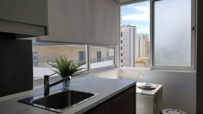 Eine moderne Küche mit Spüle, einer Topfpflanze und einem Fenster mit Blick auf eine Stadtlandschaft.