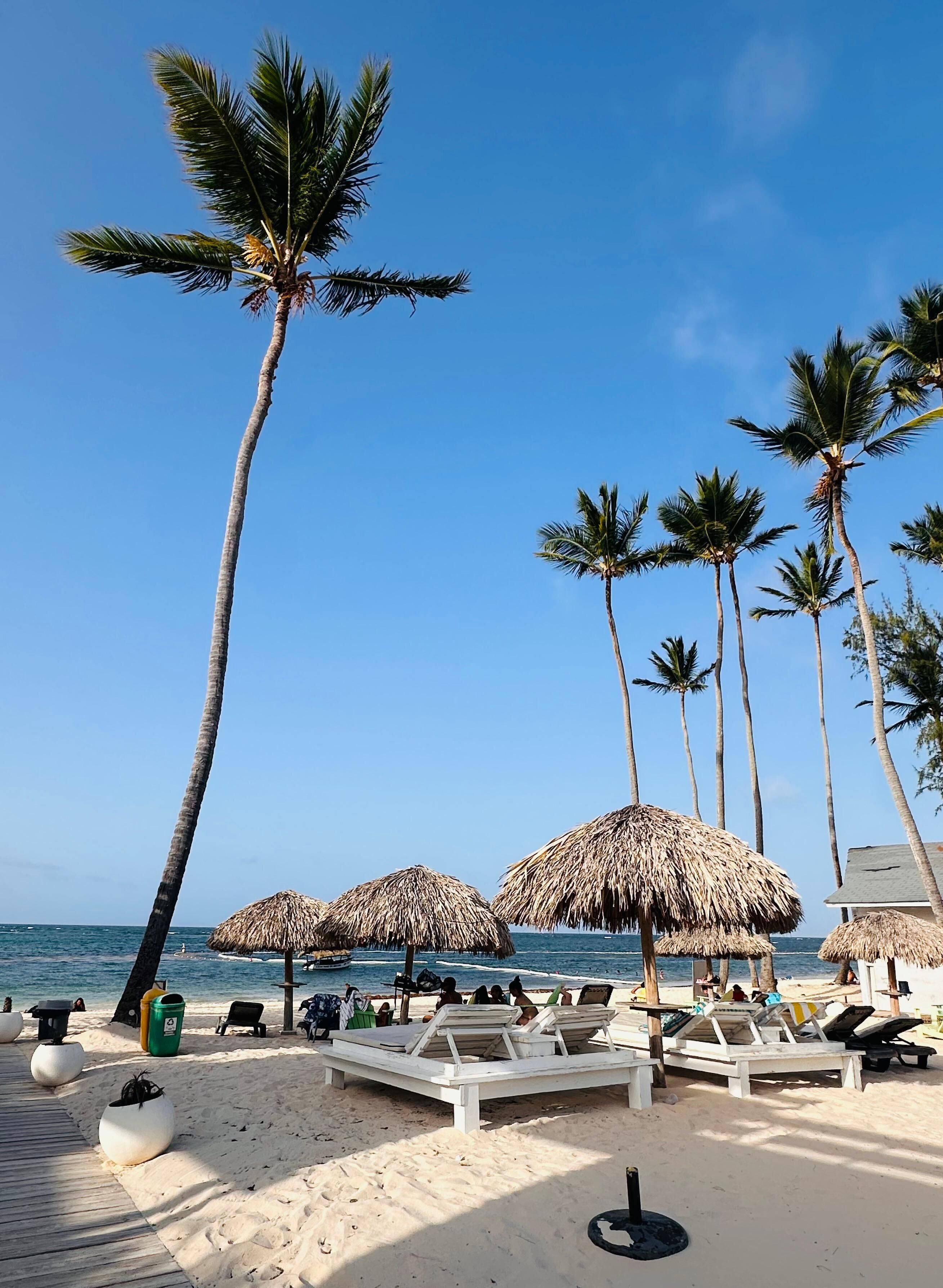 A beach with palm trees, thatched umbrellas, and sun loungers.