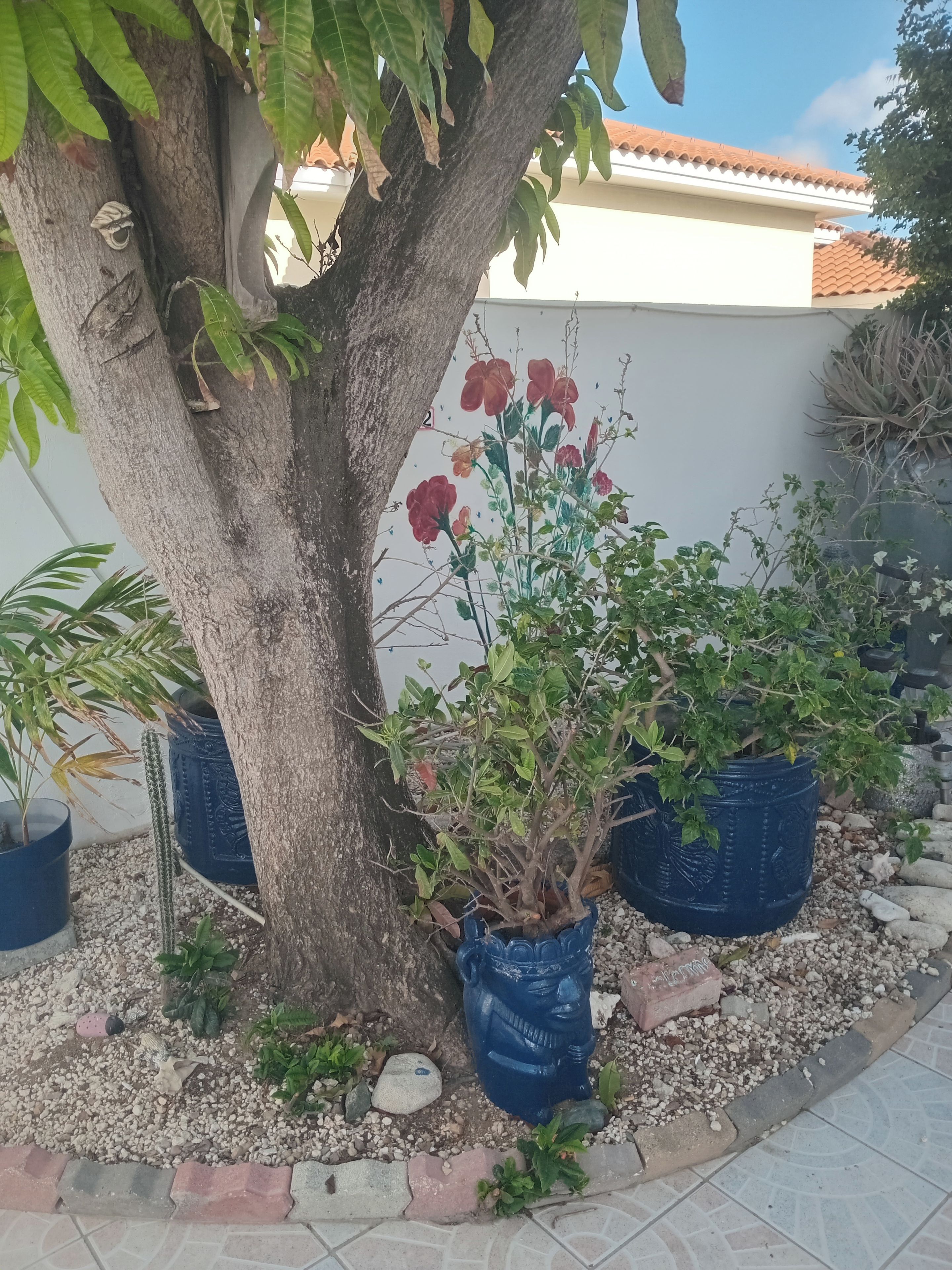 Un árbol con una planta en maceta, un cactus y una estatua decorativa en un jardín.