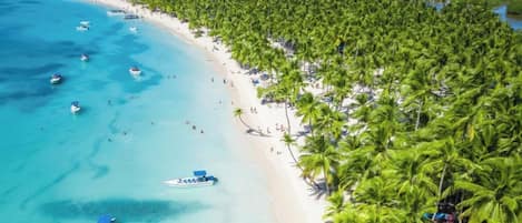 Beach nearby, white sand, free beach shuttle, beach bar