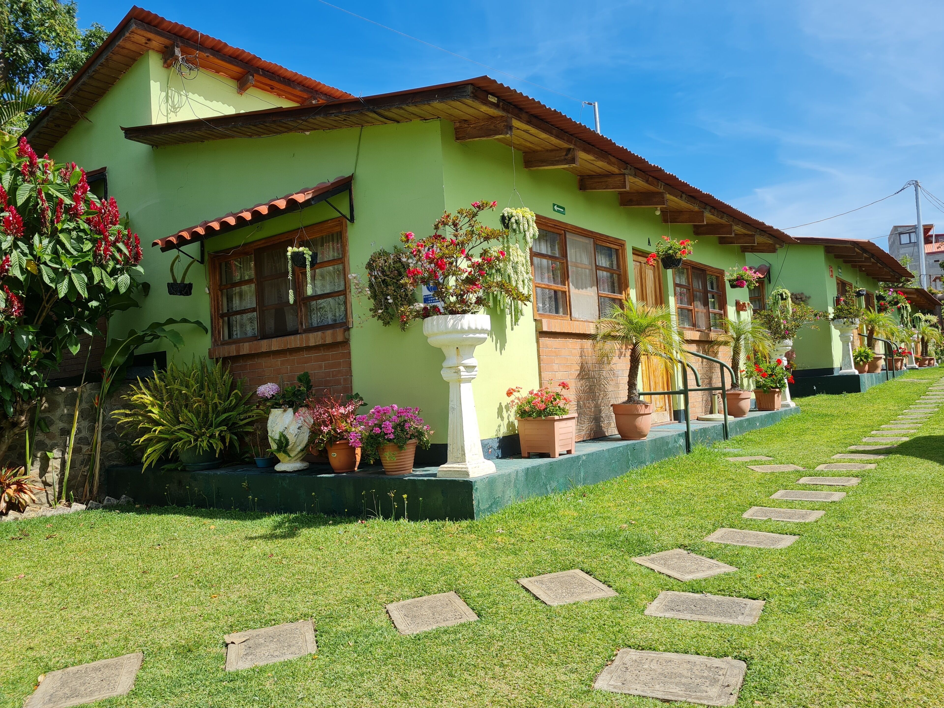 Una hilera de casas con techo verde y macetas con plantas y flores en la fachada.