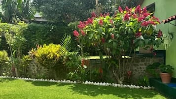 A well-maintained garden with a lawn, a flowering bush, and a green building in the background.