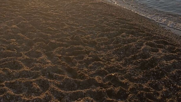 A beach with a sunset over the water. - Elegant vacation home in the Gulf of Asinara, ideal for families. (Sorso)