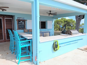 Unclassified image, 4 of 84, button - Dan Aykroyd's Baobab Vista (Frederiksted)