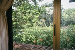 A view through a window with a curtain, revealing a lush garden with various plants and trees. - Fabulous 4-bedroom house with AC & pool 1 km to Playa Grande sleeps 10 (Playa Grande)