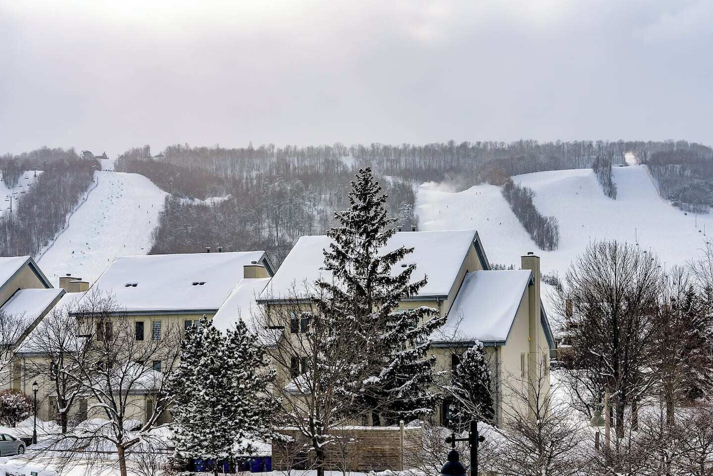 Un quartier résidentiel aux toits et aux arbres couverts de neige, sous un ciel dégagé, avec une vue lointaine sur une colline enneigée.