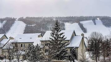 Un quartier résidentiel aux toits et aux arbres couverts de neige, sous un ciel dégagé, avec une vue lointaine sur une colline enneigée.